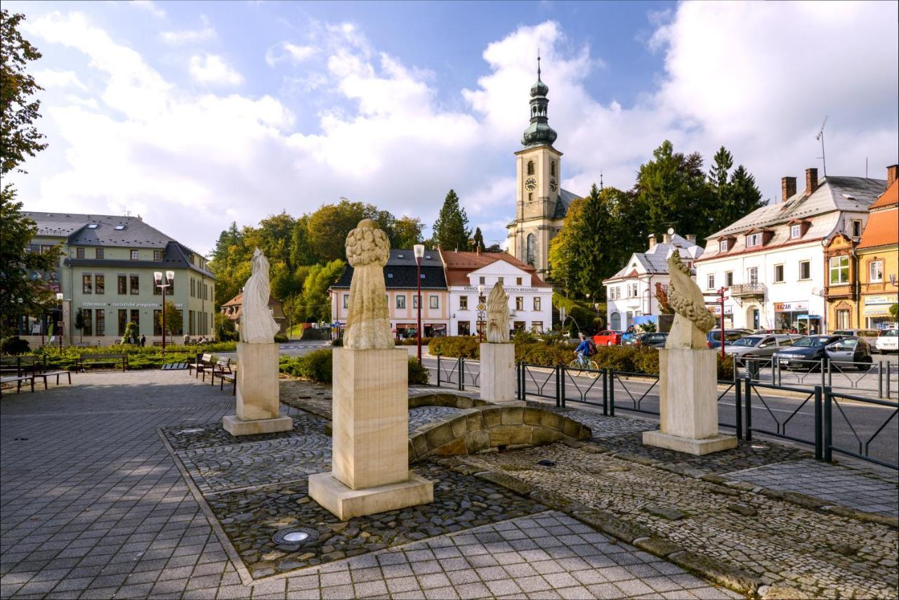 Apartman - Dum Ceskeho Svycarska Krásná Lípa エクステリア 写真