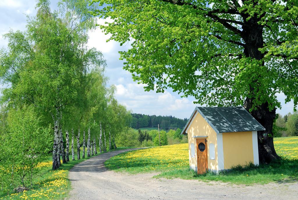 Apartman - Dum Ceskeho Svycarska Krásná Lípa エクステリア 写真