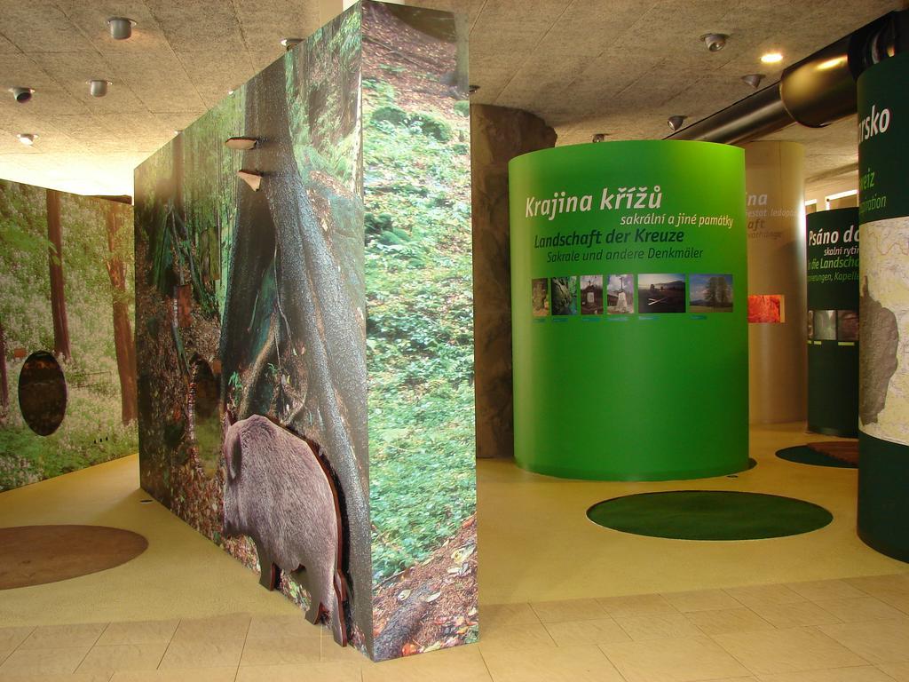 Apartman - Dum Ceskeho Svycarska Krásná Lípa エクステリア 写真